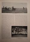 Redaktion der "Sport-Welt" (Hrsg.): Album des Deutschen Rennsports 1927.