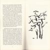 WELLBROCK, Chriffren der Natur. Zwei Essays. (Mit Autorenwidmung).