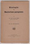 Import\31024BB.jpg