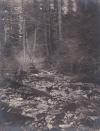 Thirteen original photographs from former copper town Hadley (Alaska) around 191
