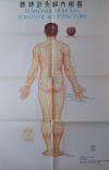 Institute of Acupuncture and Moxibustion of the China Academy of Traditional Chi