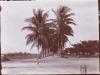 Import\8398CB.jpg